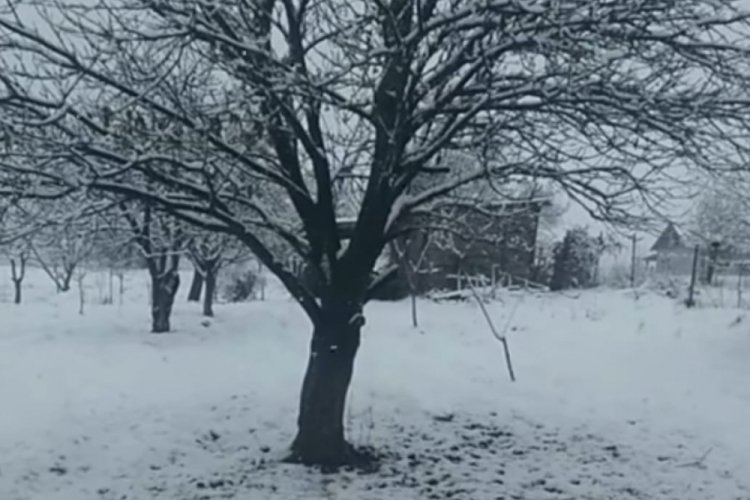Bursa'nın dağ il&ccedil;esi beyaza b&uuml;r&uuml;nd&uuml;
