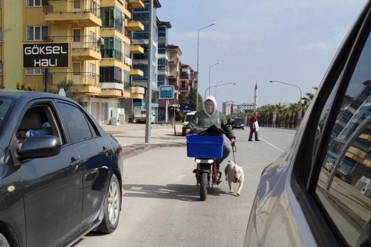 K&ouml;peği motora bağlayıp s&uuml;r&uuml;kledi, gazeteciye saldırdı! "Spor yaptırıyorum"