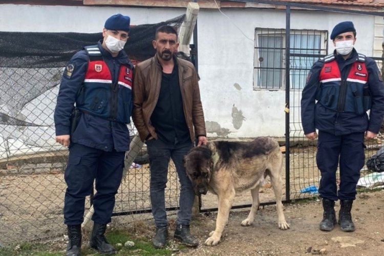 Tanınmaması i&ccedil;in &ccedil;aldığı k&ouml;peği siyaha boyadı