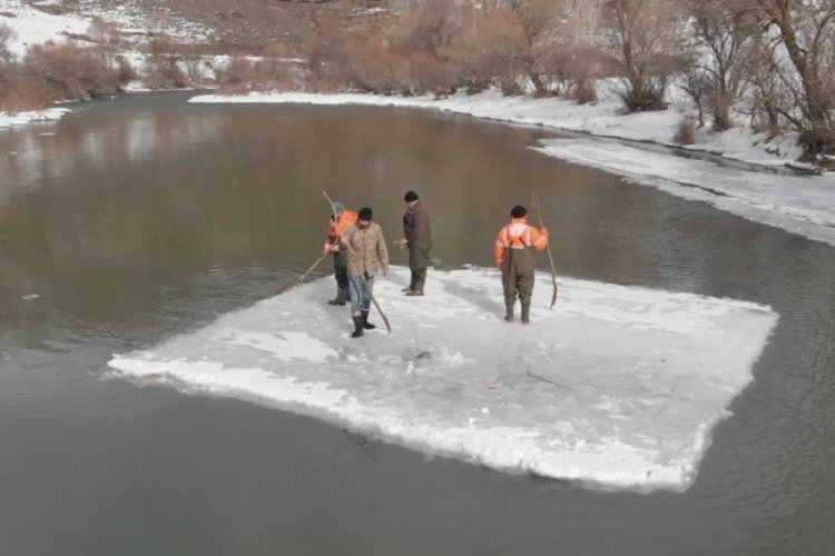 &Ccedil;oruh Nehri'nde 'buzdan sal' ile balık avı