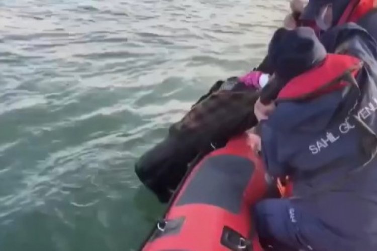 Sahil G&uuml;venlik denize d&uuml;şen yaşlı kadını b&ouml;yle kurtardı