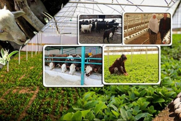 100 bin TL hibe i&ccedil;in başvuru tarihi uzatıldı