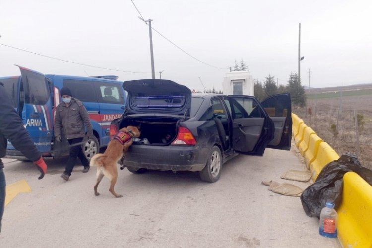 Eskişehir'de otomobildeki uyuşturucuyu 'Tetik' buldu