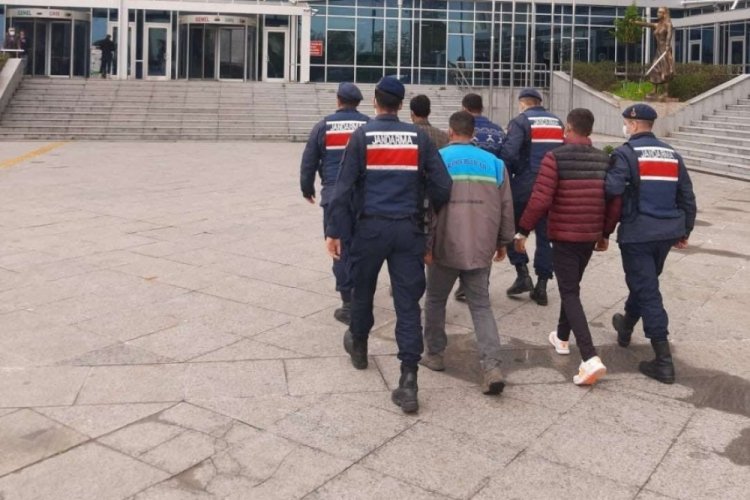 Meyve bah&ccedil;elerinde hırsızlık yapan şahıslar yakalandı