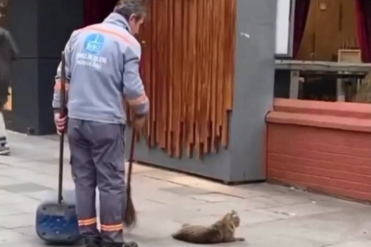 İstanbul'da temizlik g&ouml;revlisi ile kedinin eğlenceli oyunu