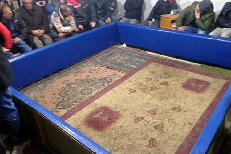 Tekirdağ'da horoz d&ouml;v&uuml;ş&uuml;ne ve yasa dışı bahse 49 bin lira ceza