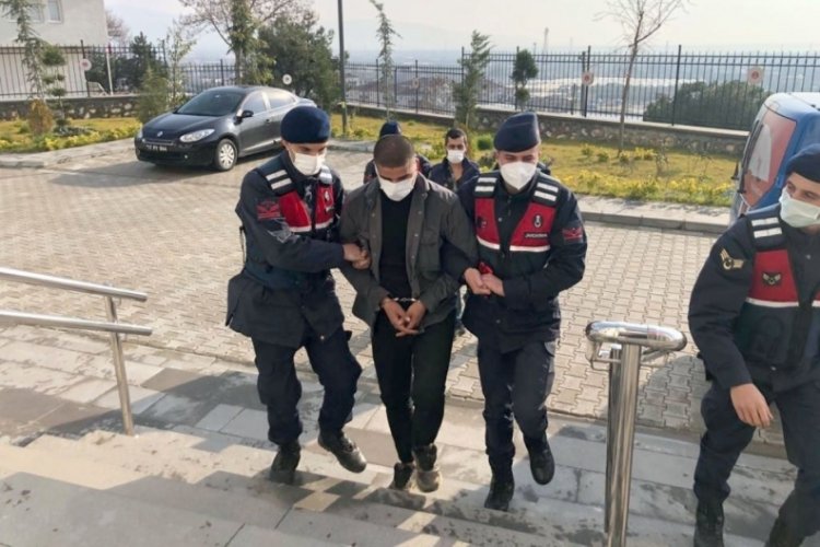 Bursa'da 4 kamyonet zeytin fidanını &ccedil;aldılar ama...