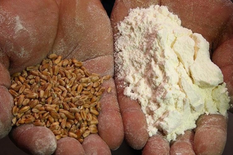 "Tarımsal Birlik Fonları Kurulmalı" (&Ouml;ZEL HABER)
