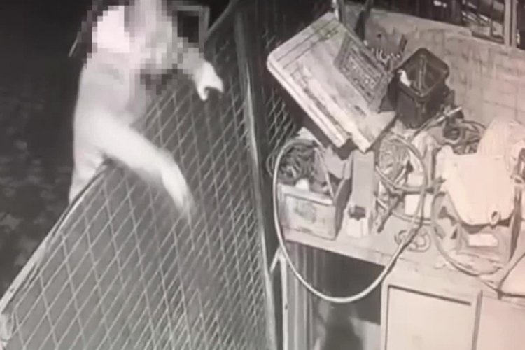 K&ouml;peğe &ouml;nce ateş etti, sonra değnek fırlattı