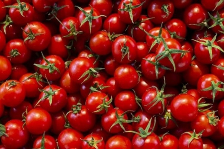 Rusya sebze ithalatını artırıyor! T&uuml;rkiye dahil...