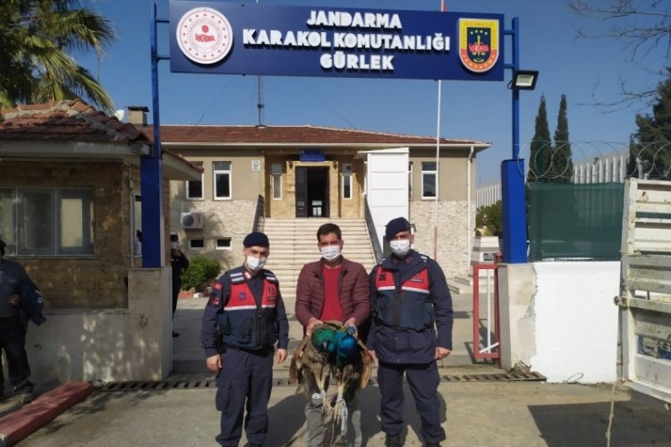 Hırsızlık şebekesi yakalandı