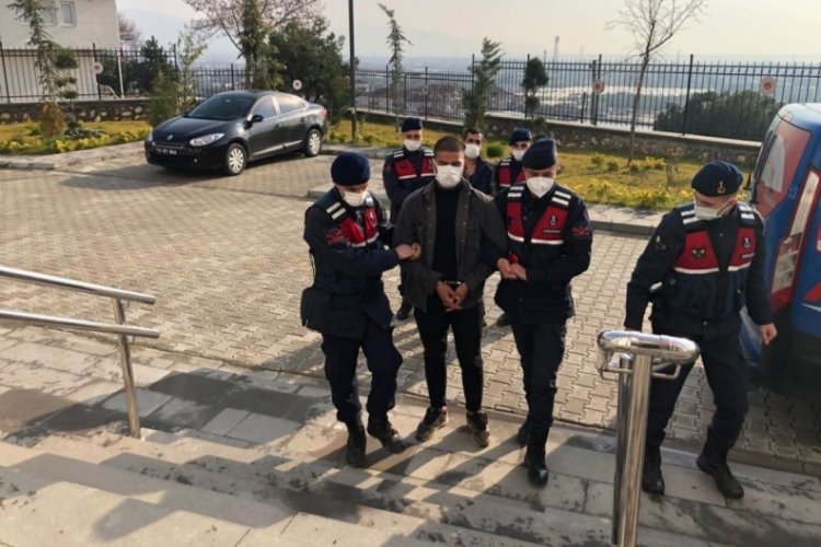 Bursa'da jandarma ağa&ccedil; hırsızlarını yakaladı