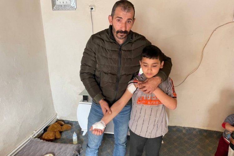 Okul yolunda iki k&ouml;peğin saldırısına uğradı