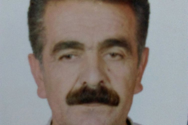 Kestiği ağacın altında can verdi!