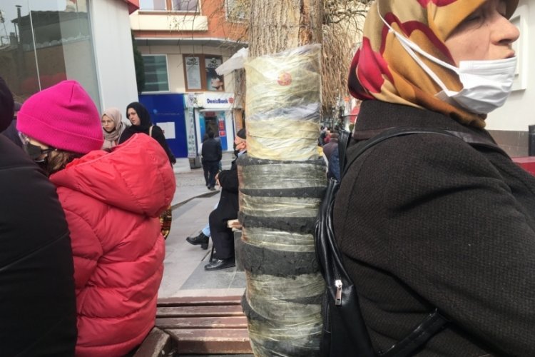 Ağacı sert bulup bezle sardılar!