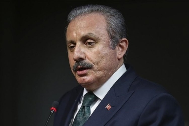 Mustafa Şentop'tan 'Kadınlar G&uuml;n&uuml;' mesajı