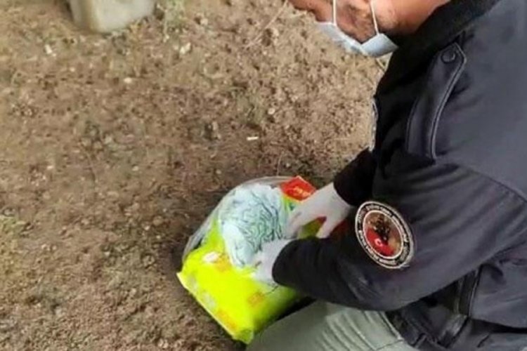 Sakarya'da bebek bezinin i&ccedil;inden &ccedil;ıkanlar şaşırttı