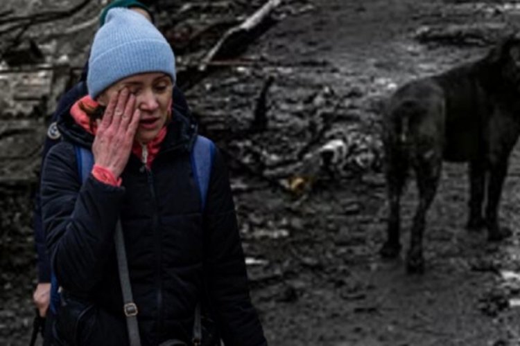 Ukrayna'da k&ouml;pekler cesetleri par&ccedil;alamaya başladı!