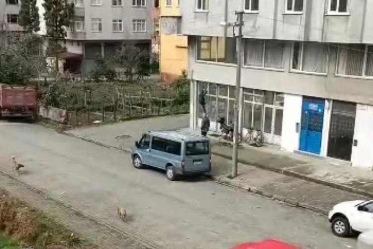Rize'de k&ouml;peklerden kepenge tırmanarak kurtuldu