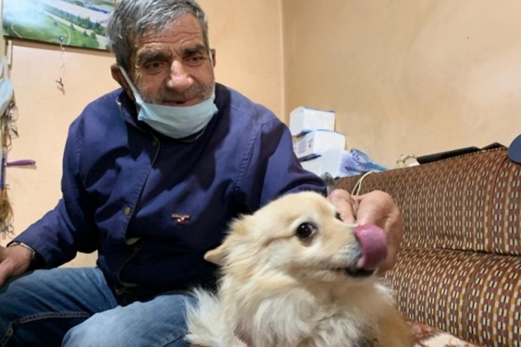 &Ouml;rt&uuml;yle k&ouml;pek hırsızlığı