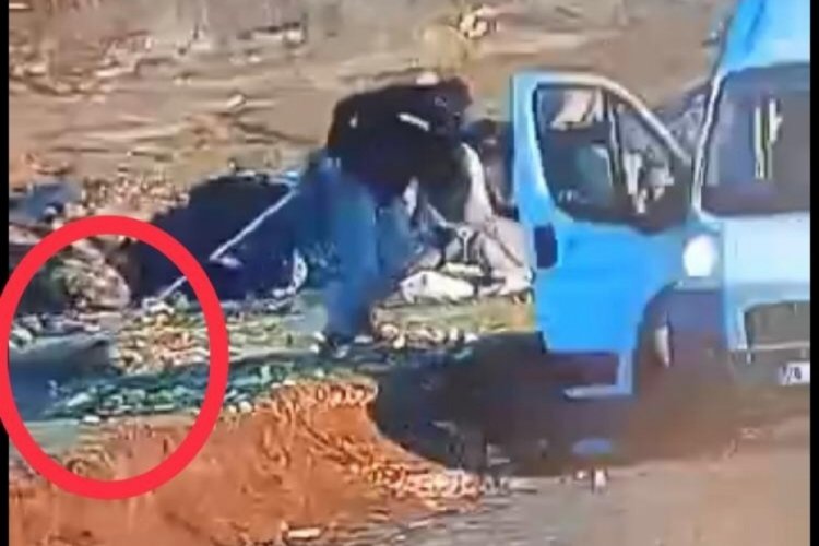 Belediye personelinin yerde s&uuml;r&uuml;klediği yaralı k&ouml;pek &ouml;ld&uuml;