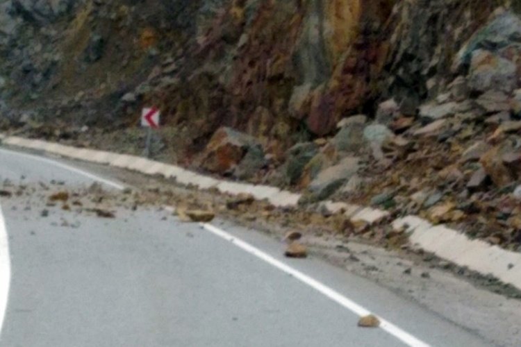 G&uuml;m&uuml;şhane'de s&uuml;r&uuml;c&uuml;n&uuml;n dikkati faciayı engelledi