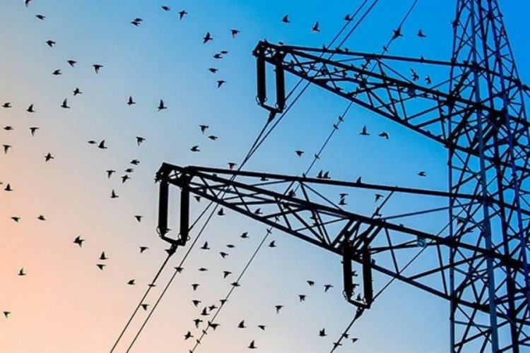 Trafoya kuş girdi, 10 bin evin elektriği kesildi