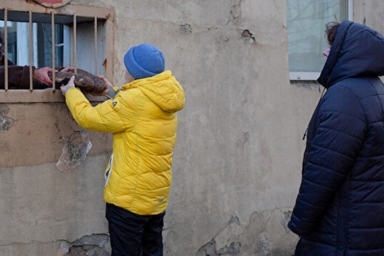 Ukrayna'da o &uuml;r&uuml;nlere sınır geldi