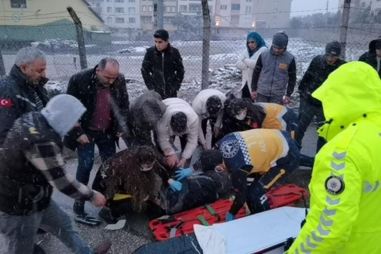 Bursa'da yaralıyı kar yağışından kartonla korudular