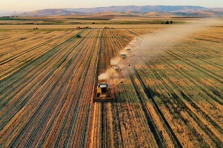 Bakan Kirişci: Destek &ouml;demeleri bug&uuml;n başlıyor