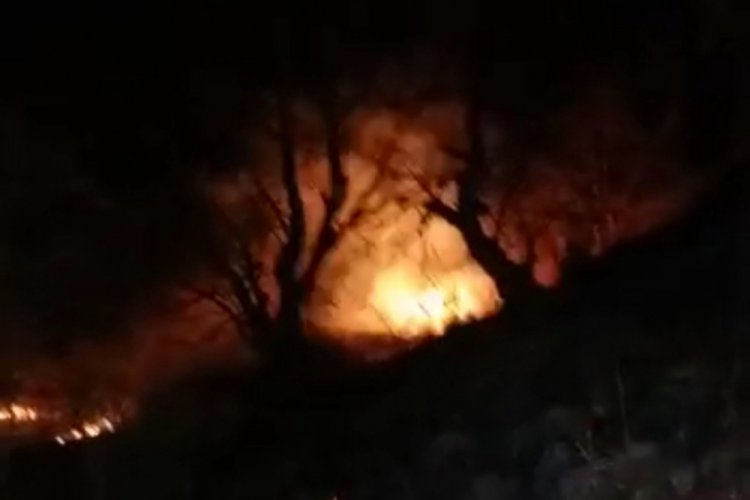 Tekirdağ'da orman yangını