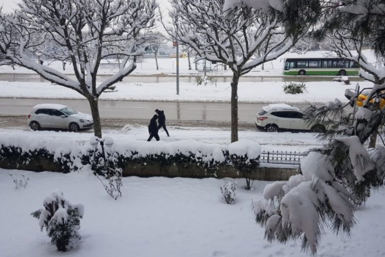 Yeşil Bursa beyaza b&uuml;r&uuml;nd&uuml;