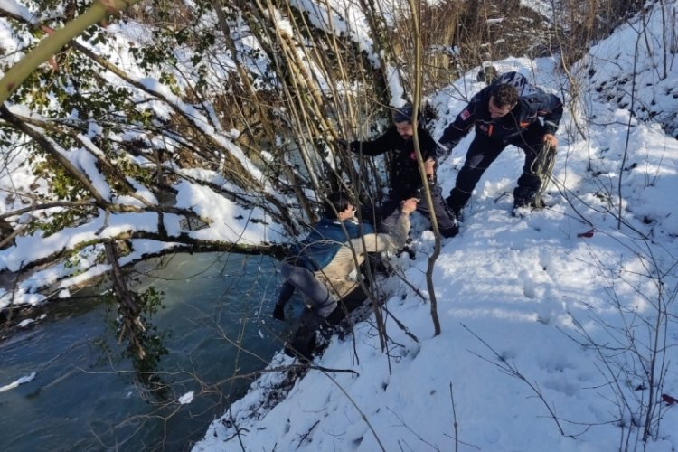 K&ouml;peği kurtarayım derken canından oluyordu