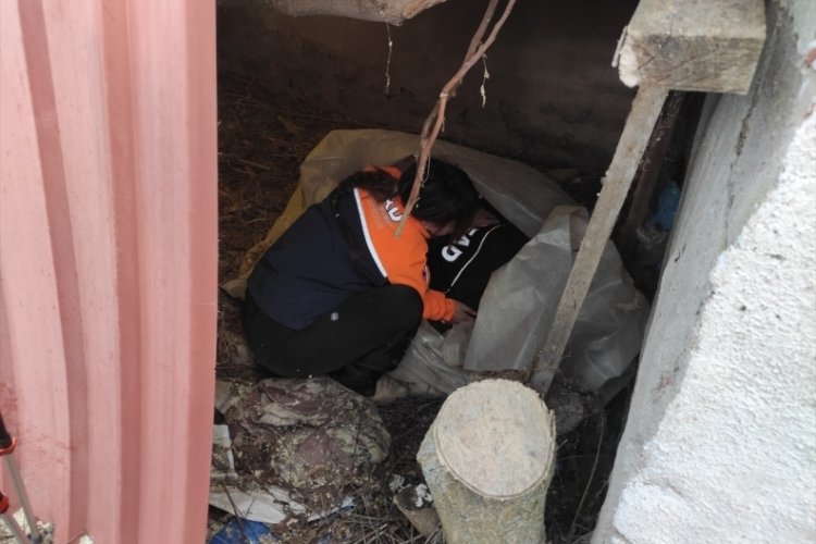 Kaybolan yaşlı kadına AFAD ekipleri yetişti