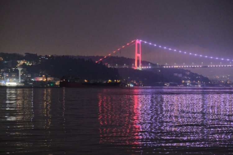 Rusya'dan gelen ayçiçek yağları İstanbul'a geldi