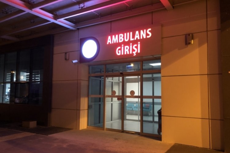 K&ouml;y muhtarının 'defne' tartışmasında kan aktı