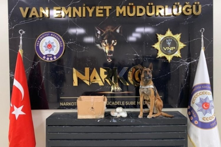 İnsanları zehirleyeceklerdi! Tam 22 kilo...