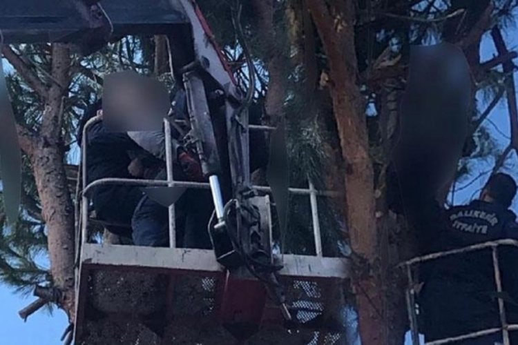Ağa&ccedil; budarken elektrik akımına kapıldı!
