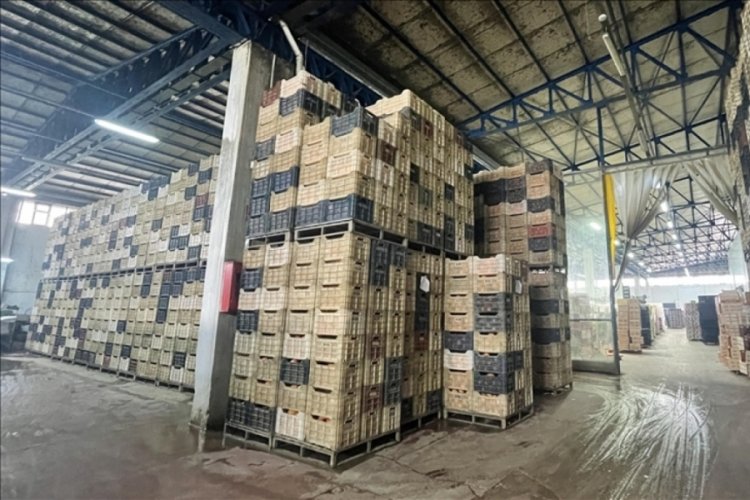 Rusya bazı gıda &uuml;r&uuml;nlerinin ihracatını ge&ccedil;ici olarak yasakladı