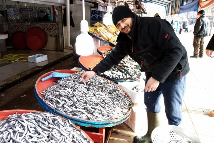 Hava koşulları Balıkesir'de balık miktarını arttırdı