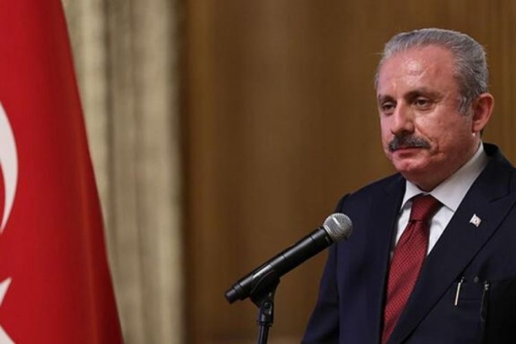 Başkan Şentop: Polonya'nın durumunu en iyi anlayan T&uuml;rkiye'dir