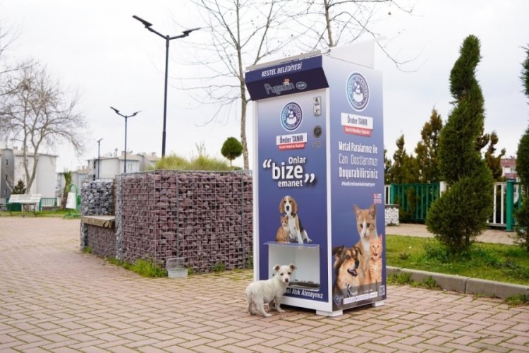 Bursa Kestel'de 'Mamamatik' uygulaması