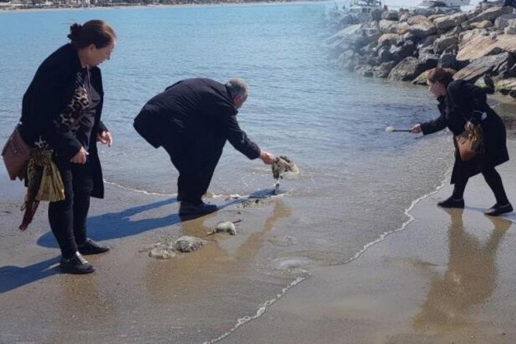 Alanya'da sahile denizanaları vurdu