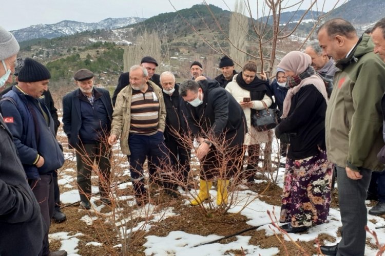 Bursalı &ccedil;ift&ccedil;iler budama ve g&uuml;breleme eğitimi aldı