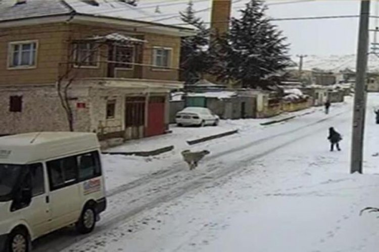 8 yaşındaki &ccedil;ocuğa k&ouml;pek saldırdı