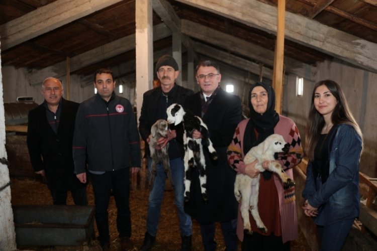 Tokat'ta proje kapsamında  912 &ccedil;ift&ccedil;i s&uuml;r&uuml; sahibi oldu