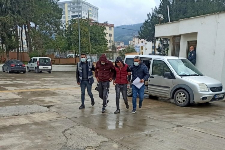 Zeytinyağı &ccedil;alan 2 kişi yakalandı