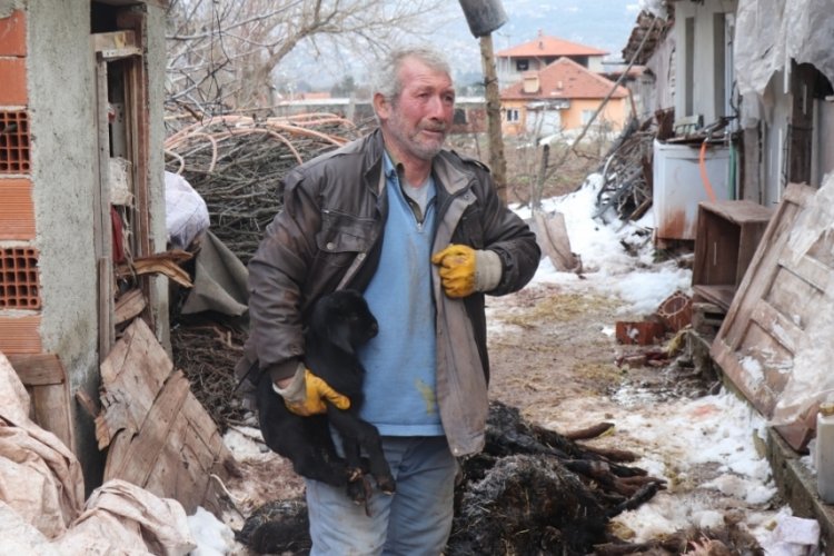 Aşı olan ke&ccedil;ilerinin yarısı telef oldu