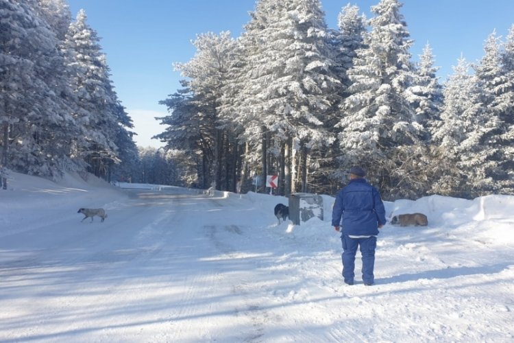 Uludağ'da a&ccedil; kalan dostlara jandarma şefkati