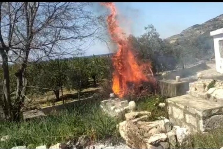 Mezarlıkta &ccedil;ıkan yangın korkuttu